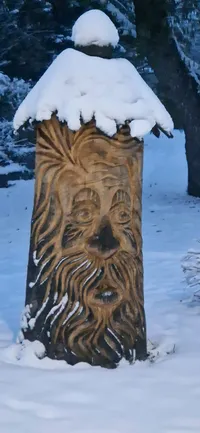 Zahrada po prvním sněhu